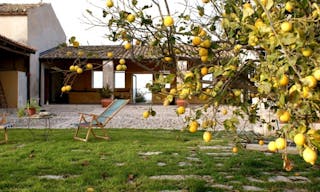 Tenuta La Favola, Noto, Sicily: private visit with organic wines and olive oil exclusive tasting