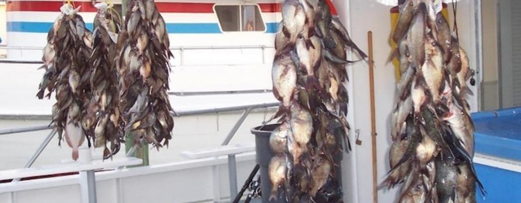 Clearwater Beach: deep sea fishing with roundtrip transportation