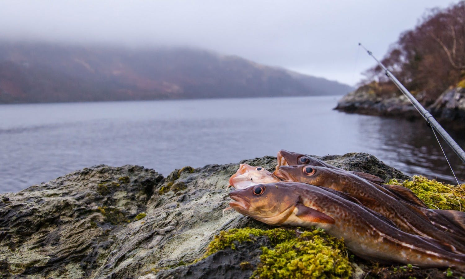 Fishing near Inverness, Guided Tours