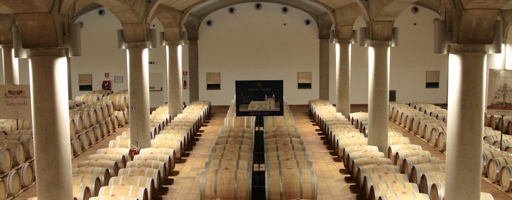 The world and the colors of Donnafugata wines