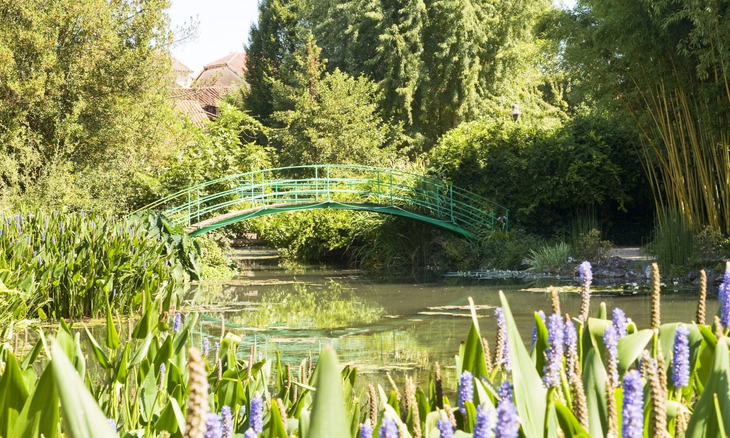 Giverny small group tour from Paris