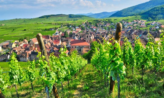 Excursión a los viñedos y las bodegas de Champaña