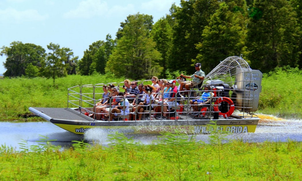 Wild Florida ultimate airboat ride with transportation from Orlando ...