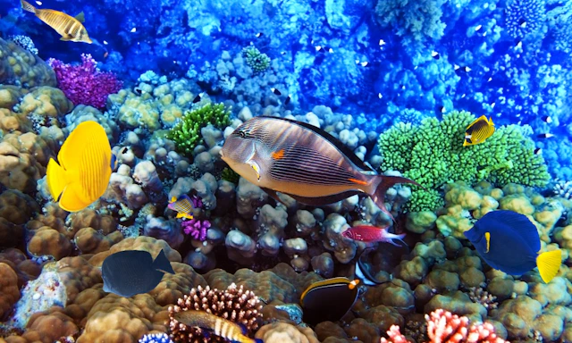 Hurghada, Egipt