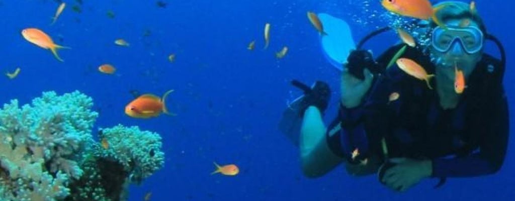 Key West dagtocht met snorkelavontuur