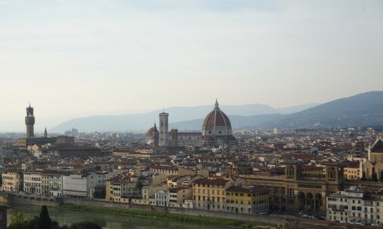 Tour of Florence from Livorno