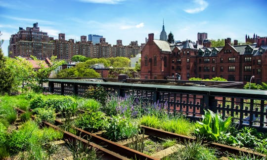 Caminhe pela antiga linha ferroviária: passeio pela Highline e Chelsea em francês