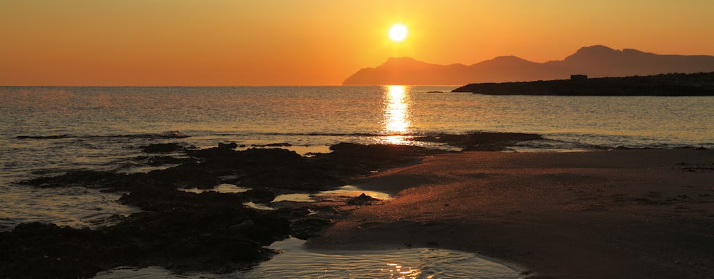 Zeiltocht bij zonsopgang bij Mallorca en dolfijnen spotten