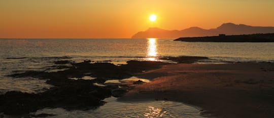 Croisière au lever du soleil à Majorque avec observation des dauphins