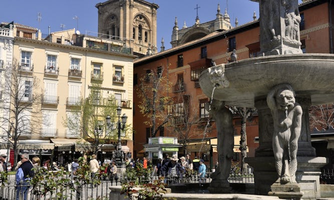Visita guiada a pie por la historia de Granada