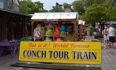 Ver la ciudad,Salir de la ciudad,Visitas en autobús,Excursiones de un día,Excursión a Key West