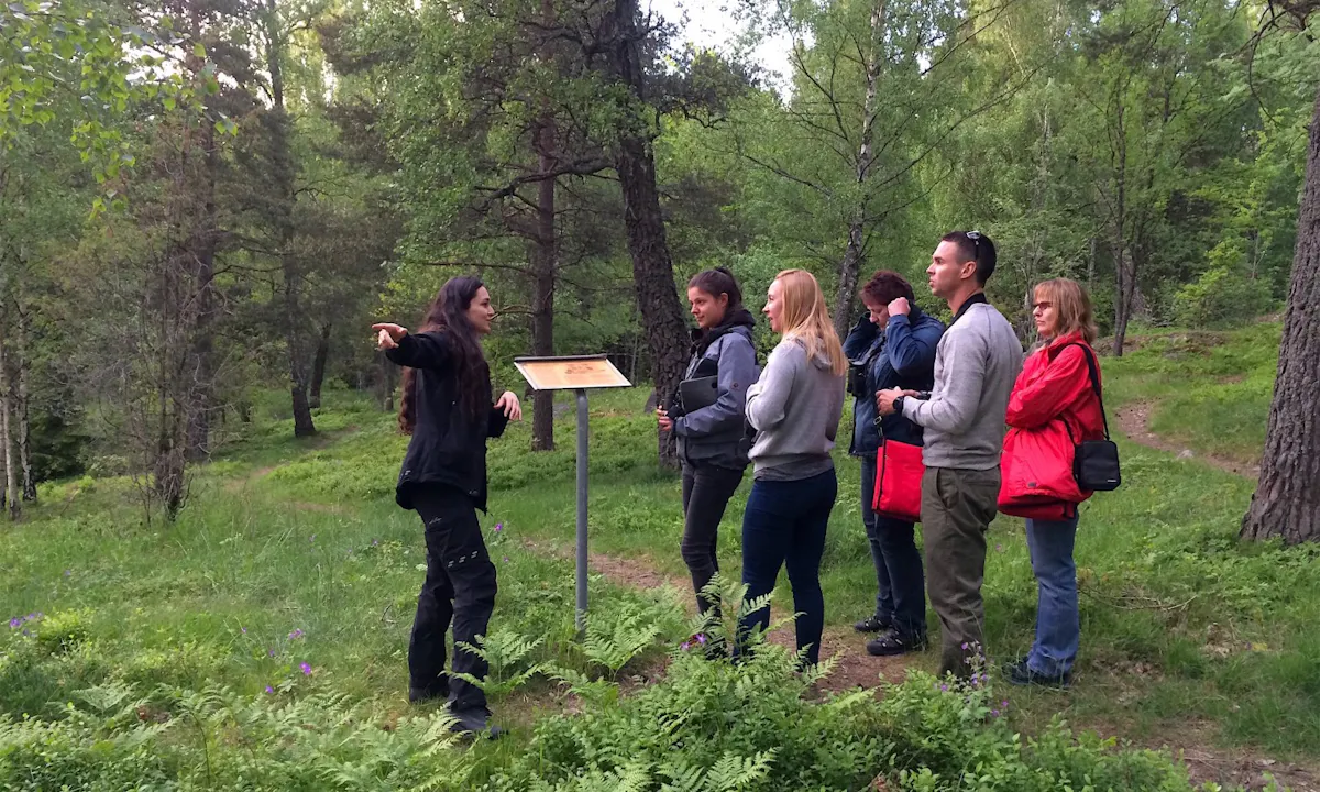 Evening wildlife safari in Stockholm's area-0