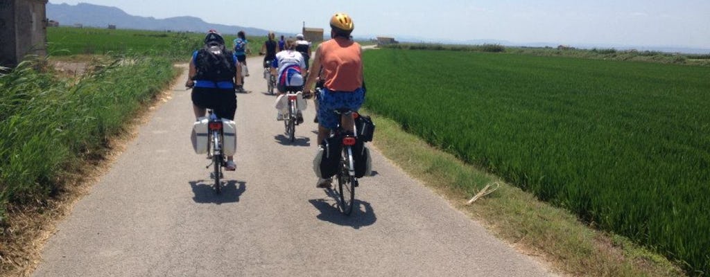 Visite en vélo d'Albufera