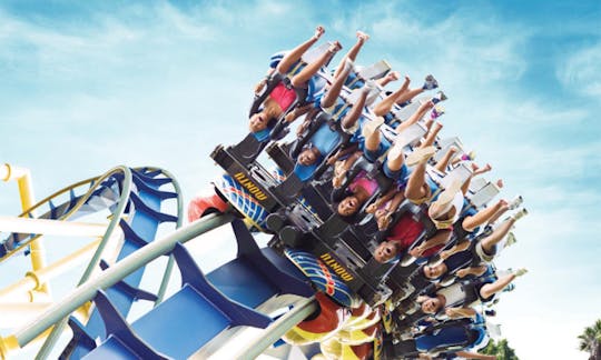 Busch Gardens Tampa Bay tickets