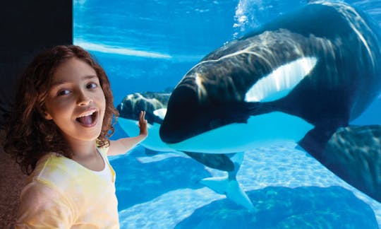 SeaWorld Orlando tickets