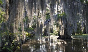 Tours de un día y Excursiones