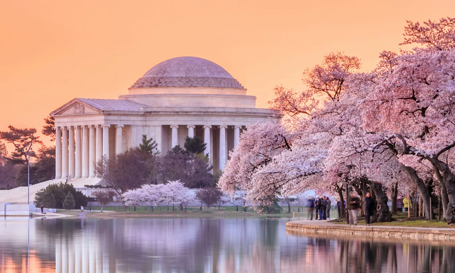 Washington Dc