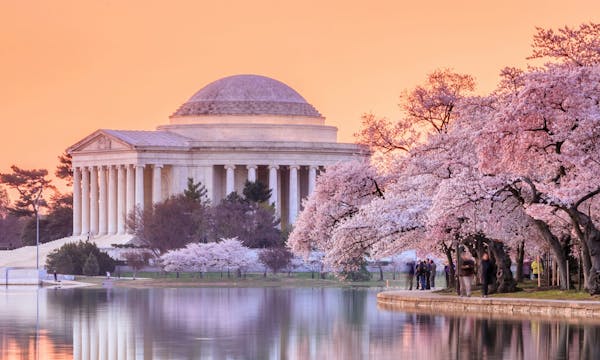 Washington D.C.