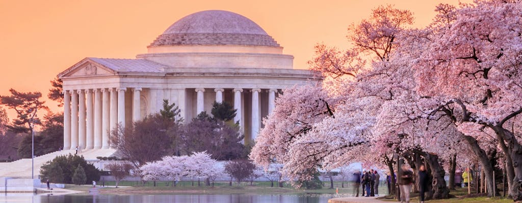 Washington DC