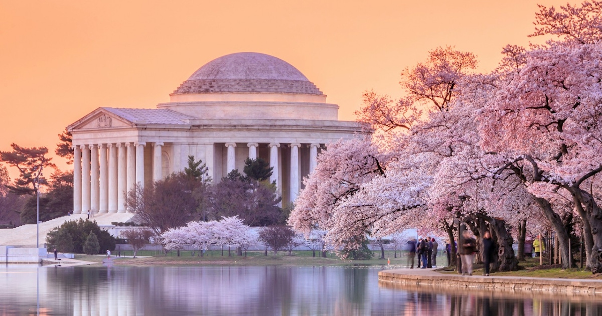 Things to do in Washington DC : Museums and attractions Things to do in Washington DC : Museums and attractions