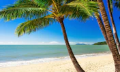 Cairns