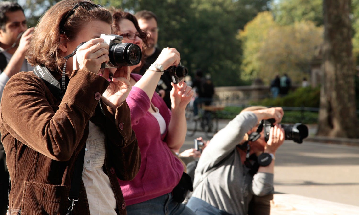 New York: Fotosafari im Central Park