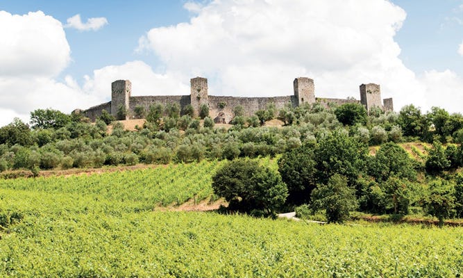Chianti e tour de castelo de San Gimignano com degustação de vinhos