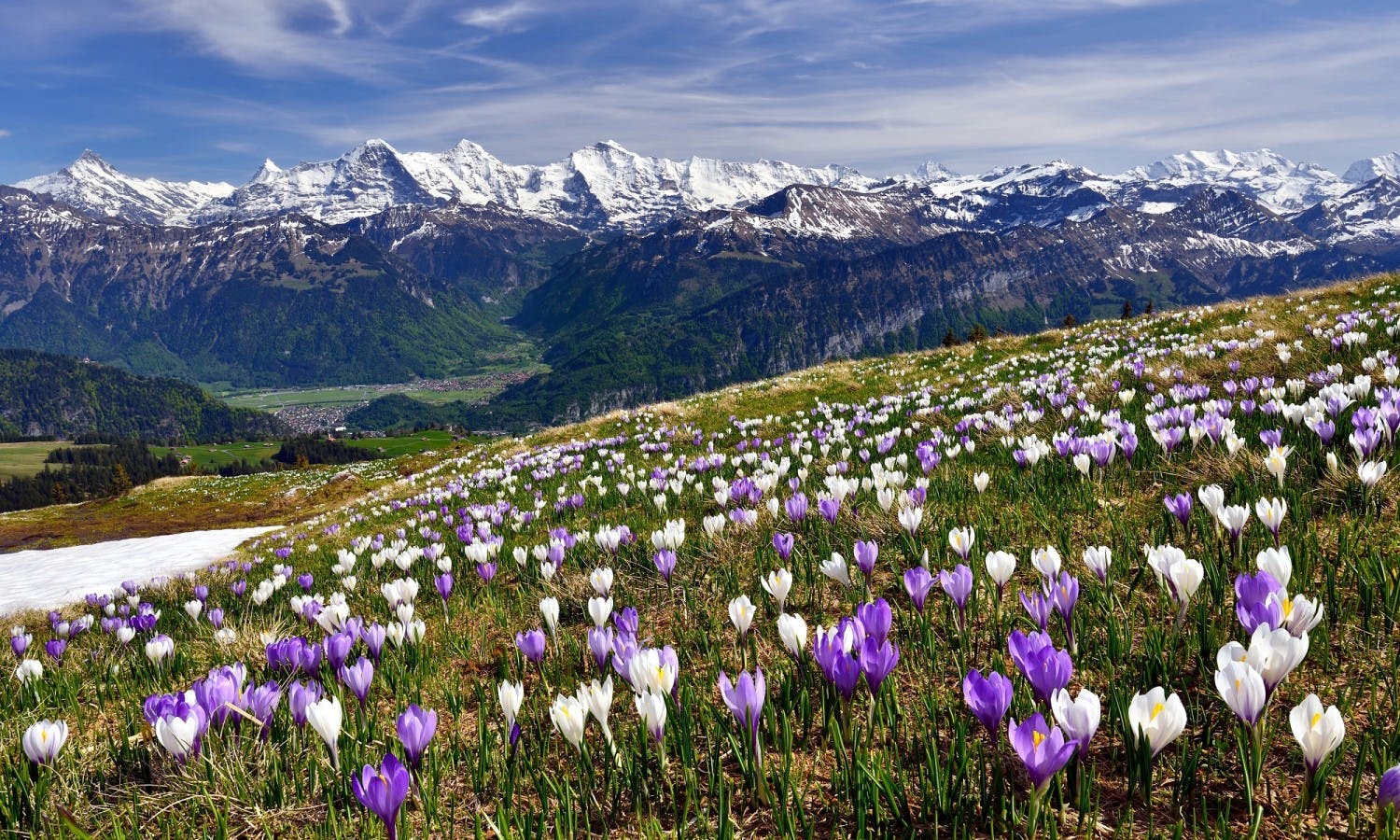 Interlaken