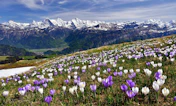 Interlaken