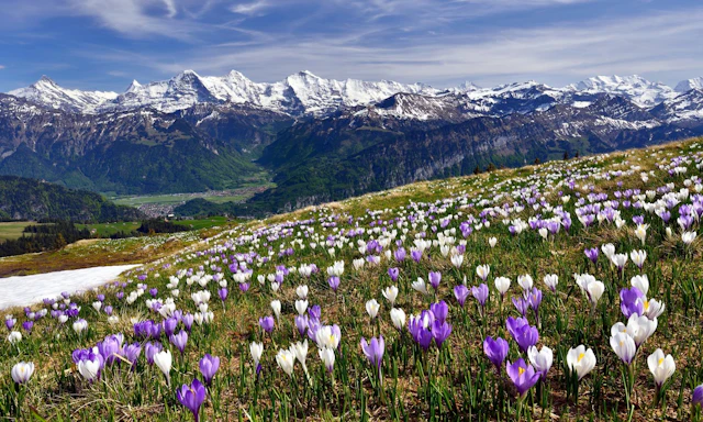 Interlaken, Schweiz