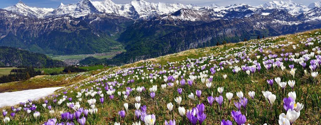 Interlaken: bilety i wycieczki