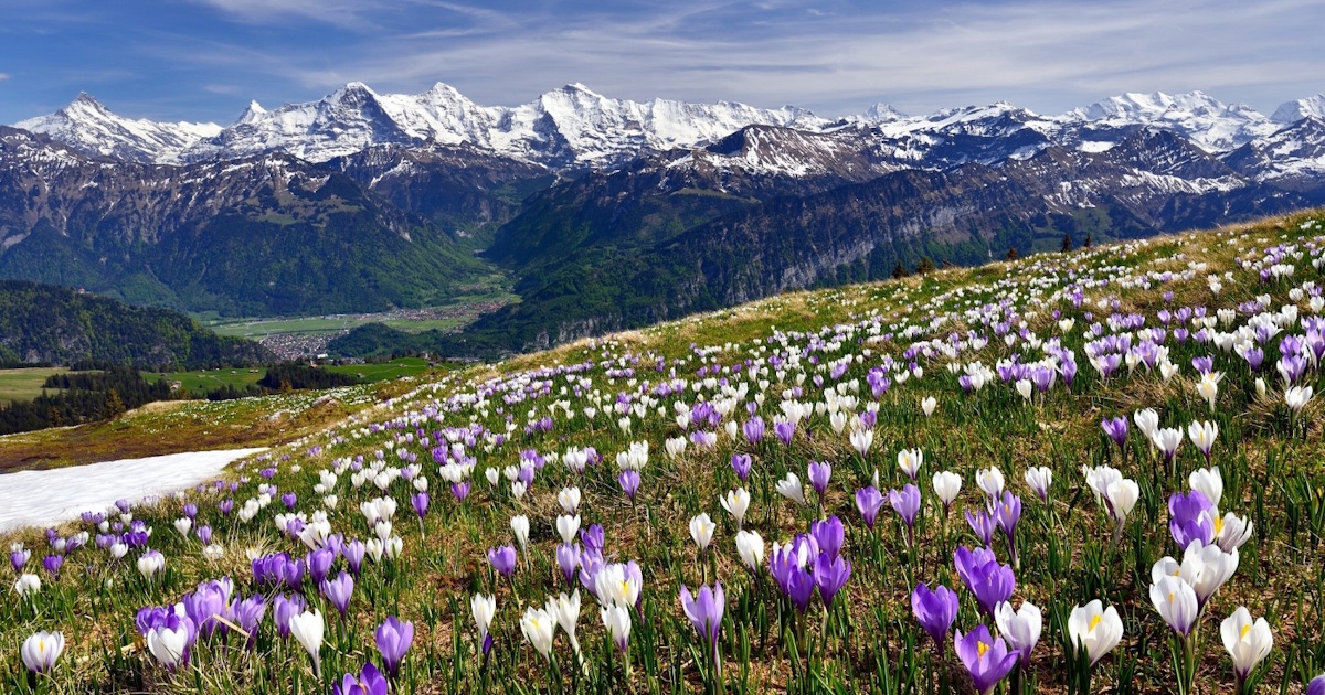 Things to do in Interlaken : Museums and attractions Switzerland