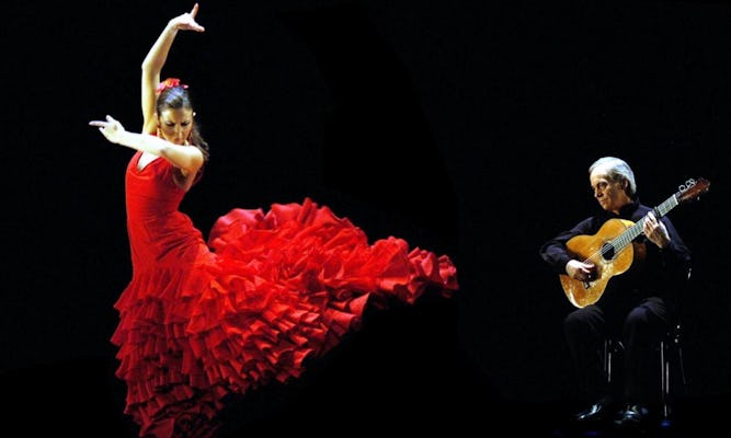 Tapas dinner and flamenco show in Valencia