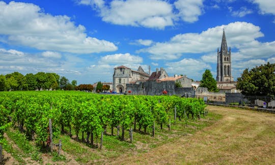 Excursión privada a Saint Emilion