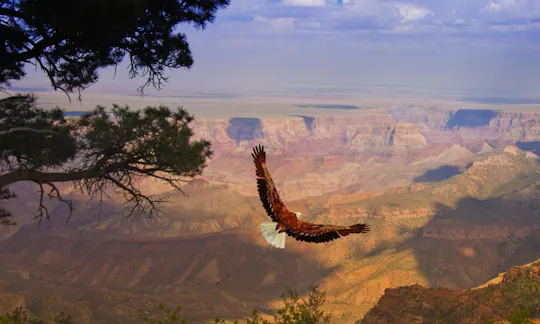 Grand Canyon West Rim with Hoover Dam photo stop