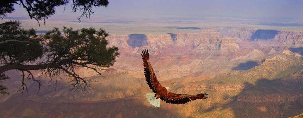 Visita à margem oeste do Grand Canyon com parada para fotos na Represa Roover