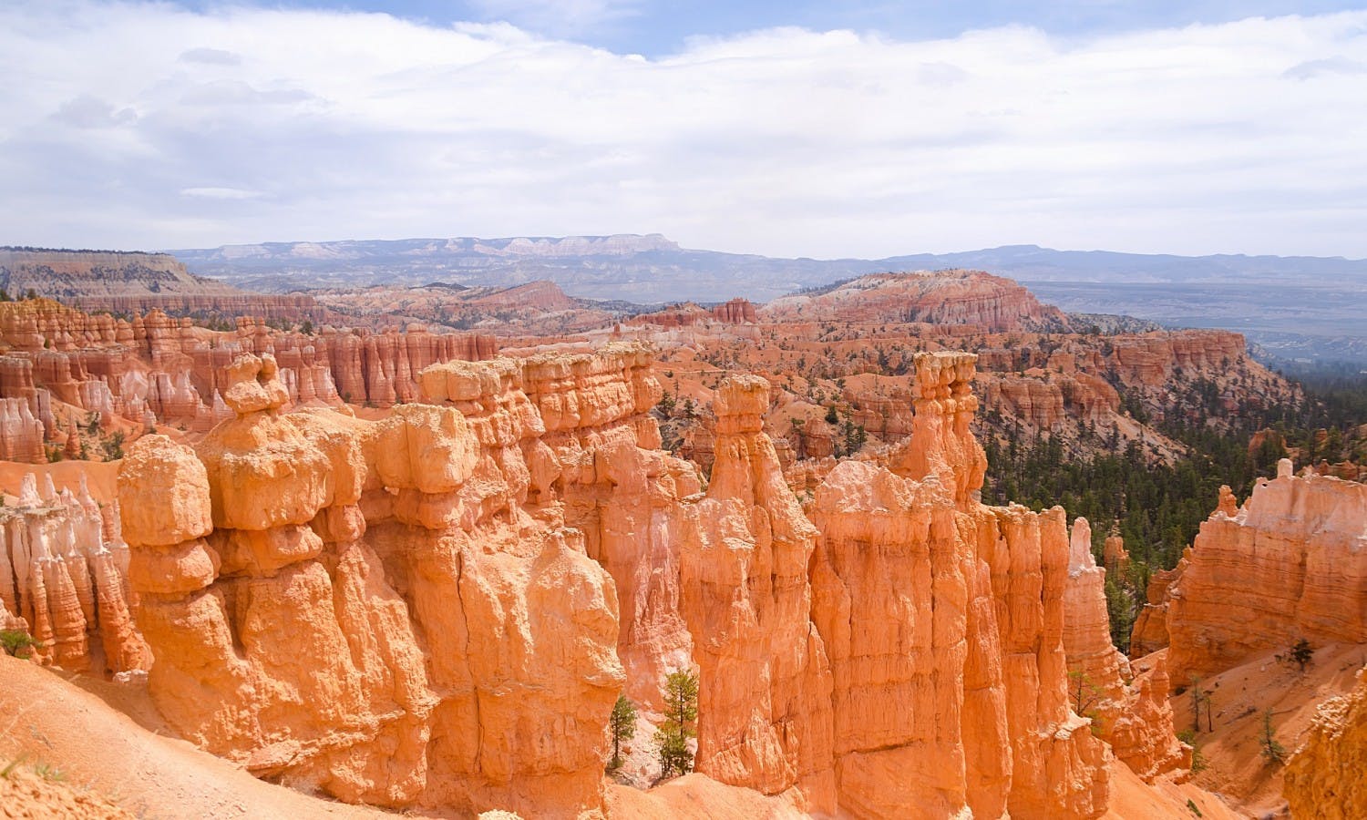 3-Tage Tour durch die Nationalparks im Winter