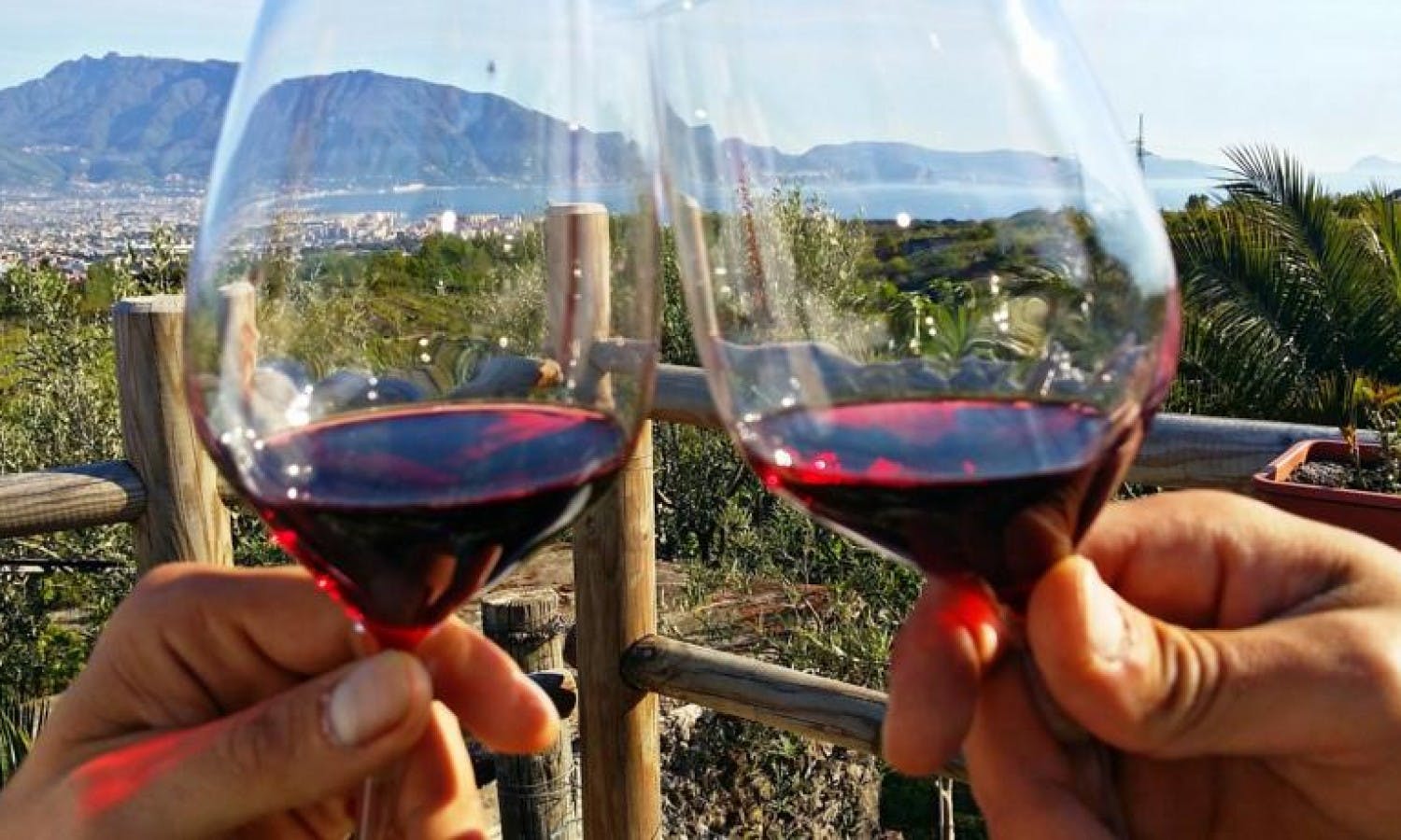 Experiencia de cata de vinos en el Monte Vesubio con almuerzo.