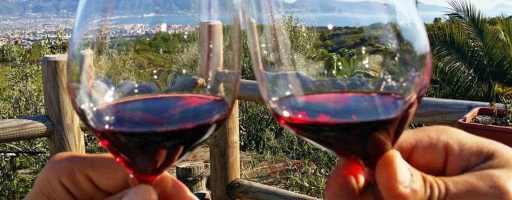 Degustazione di vini e pranzo sul Vesuvio