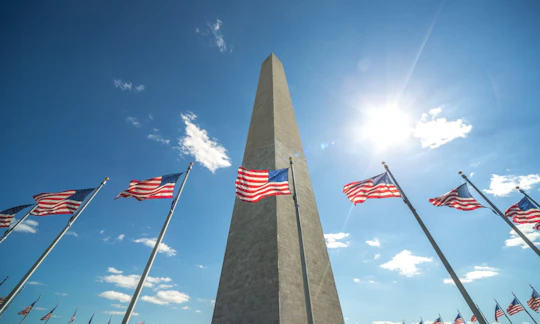 DC highlights private tour