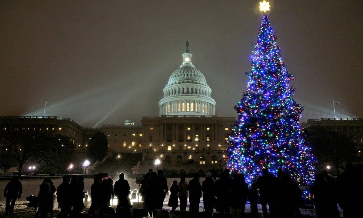 DC guided holiday lights tour Musement