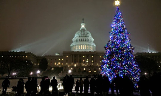 DC holiday lights tour