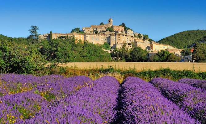 Avignon and villages of Luberon full day guided tour