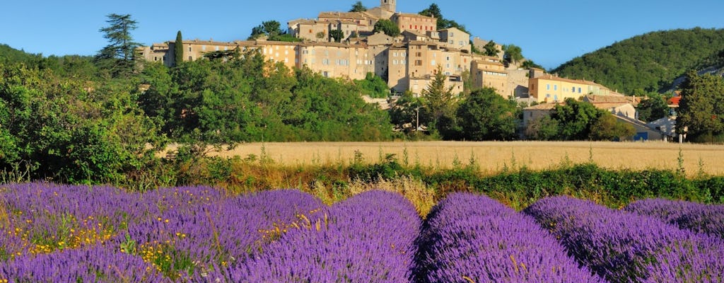 Avignon and villages of Luberon full day guided tour