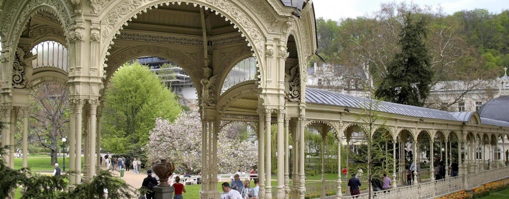 From Prague: Karlovy Vary day trip