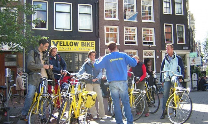 Amsterdam: tour di tre ore in bicicletta