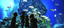 Aquarium Paris