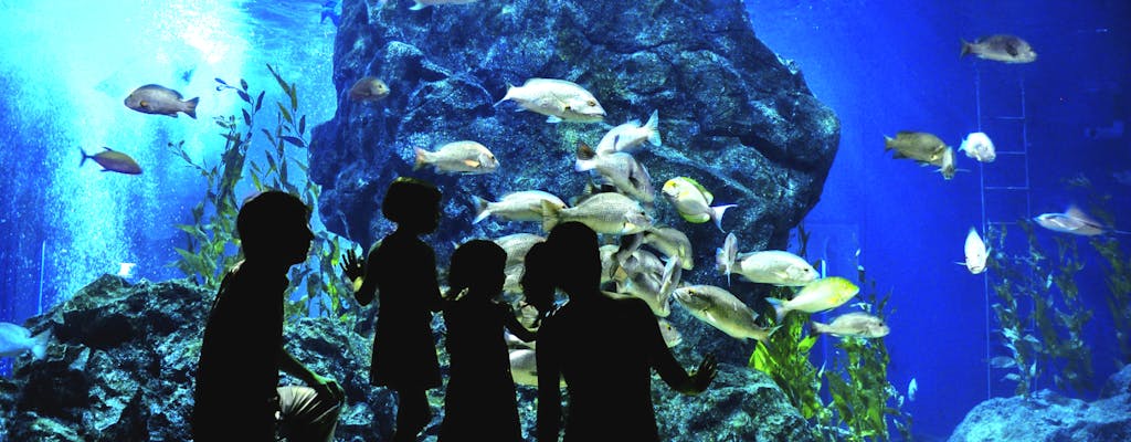 Aquarium of Paris - Cinéaqua