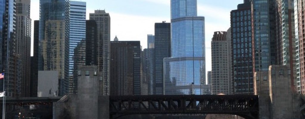 Chicago's River and Lake Architecture  speedboat cruise