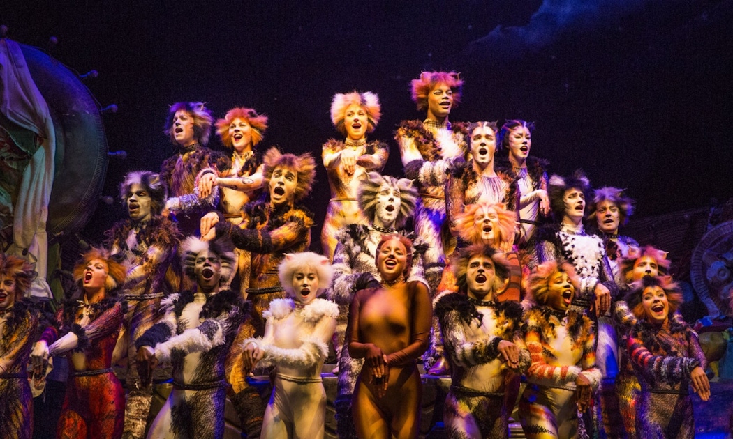 Cats on Broadway tickets | musement